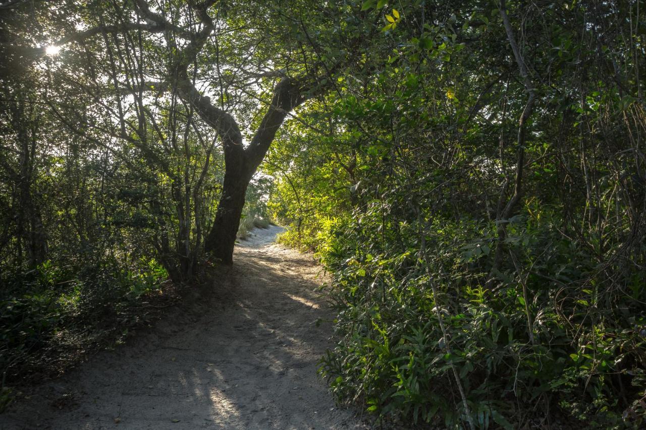 Manguzi Kosi Forest Lodge מראה חיצוני תמונה
