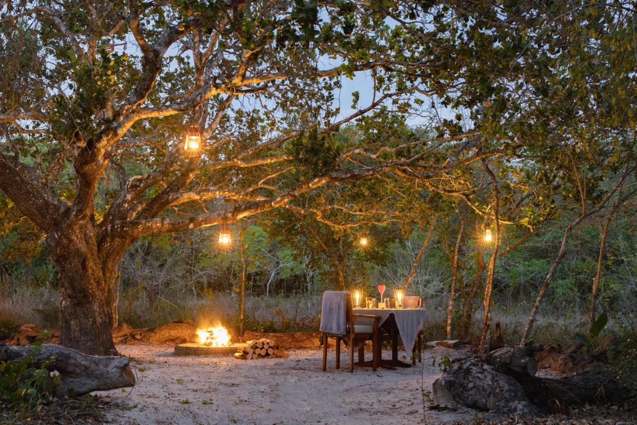 Manguzi Kosi Forest Lodge מראה חיצוני תמונה
