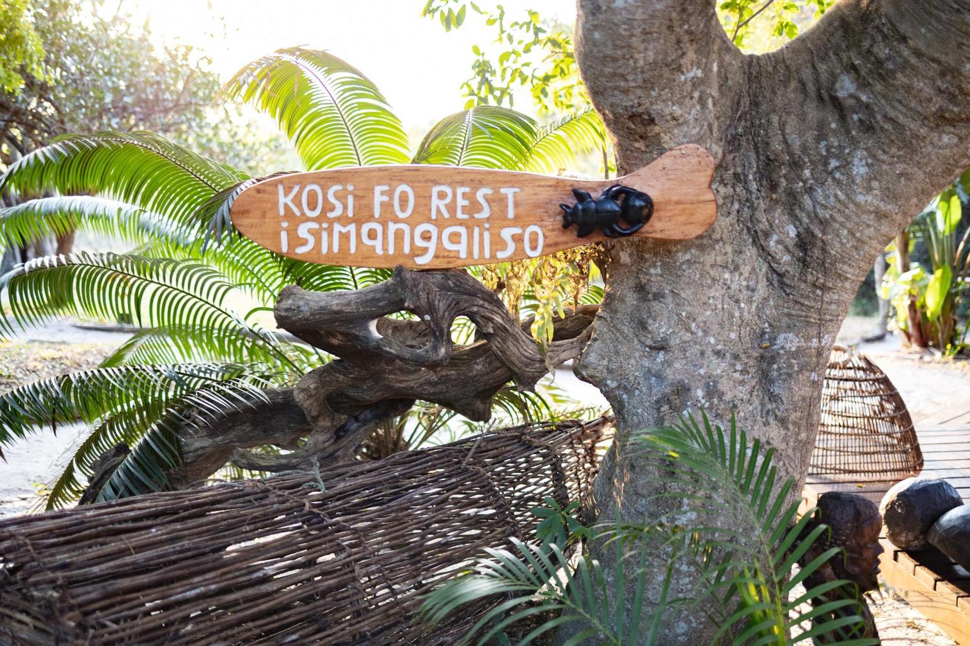 Manguzi Kosi Forest Lodge מראה חיצוני תמונה