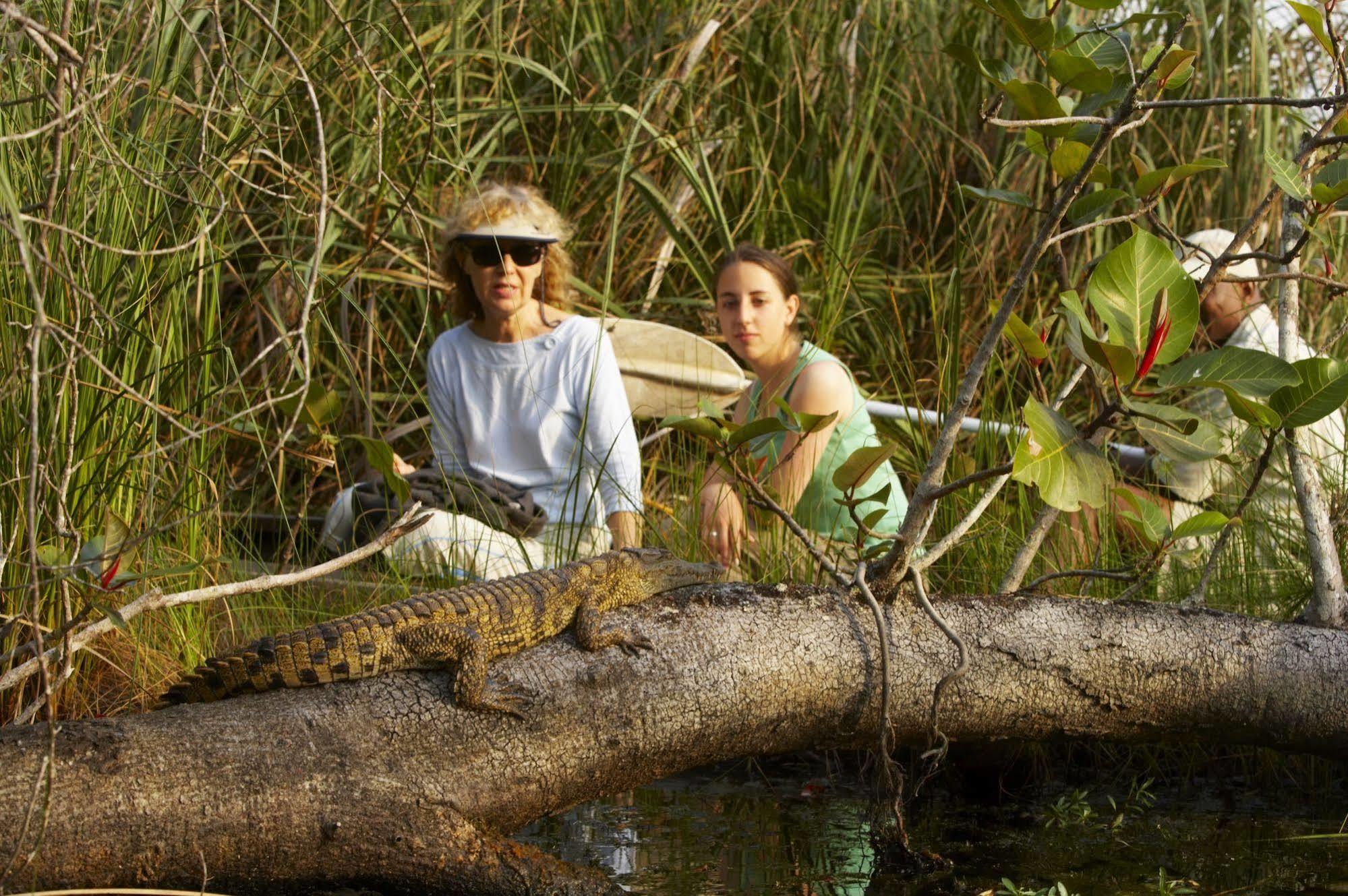 Manguzi Kosi Forest Lodge מראה חיצוני תמונה