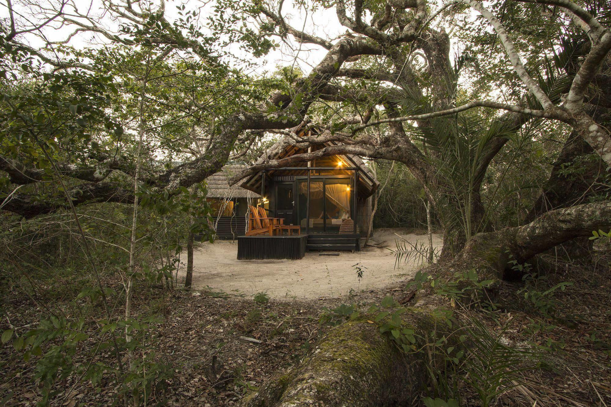 Manguzi Kosi Forest Lodge מראה חיצוני תמונה