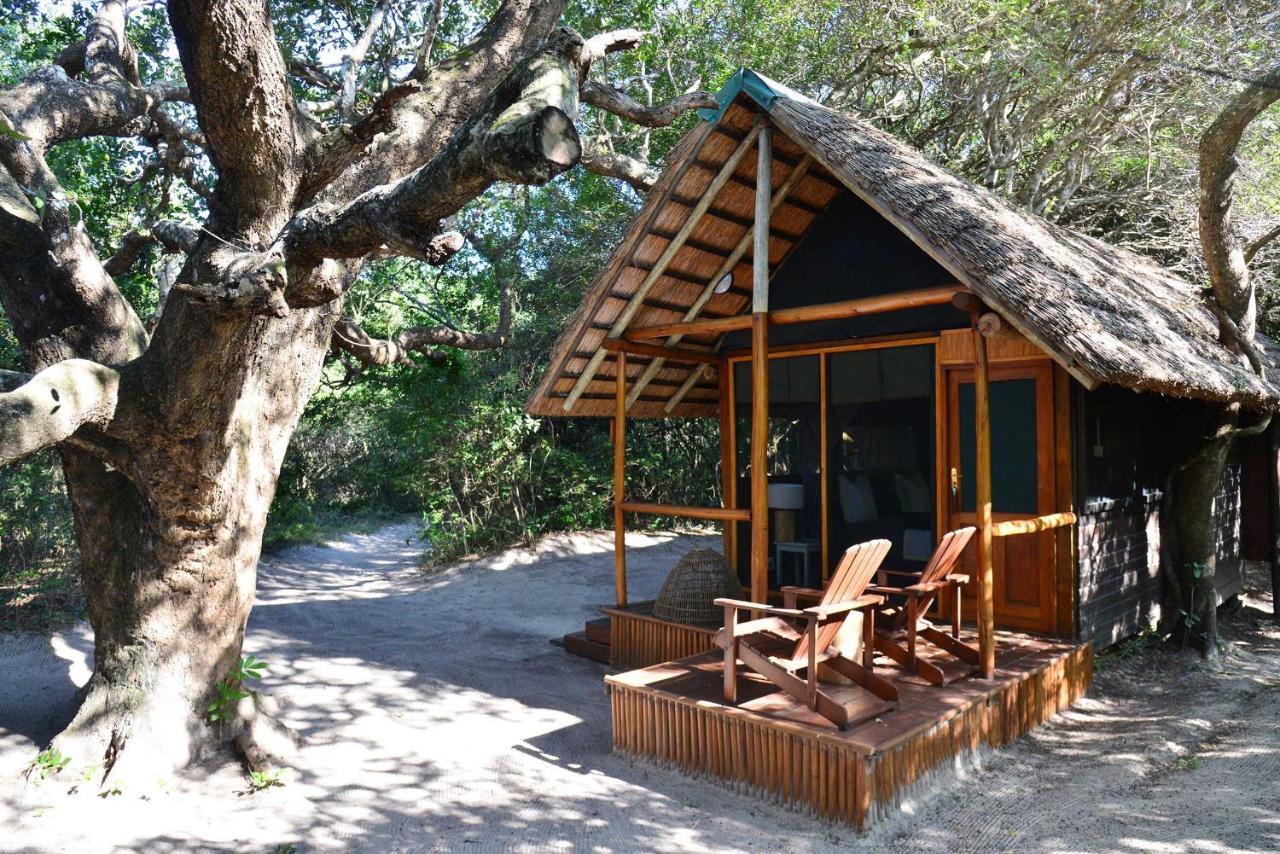 Manguzi Kosi Forest Lodge מראה חיצוני תמונה