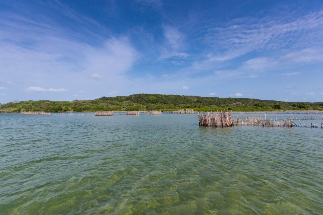 Manguzi Kosi Forest Lodge מראה חיצוני תמונה