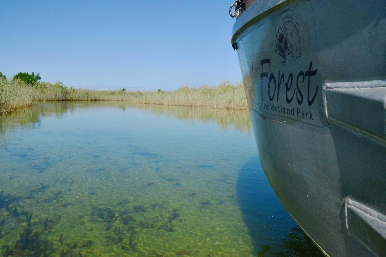 Manguzi Kosi Forest Lodge מראה חיצוני תמונה